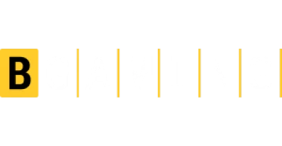 partners who work with BSWin