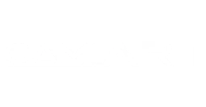 partners who work with BSWin