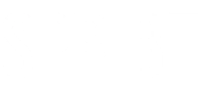 partners who work with BSWin